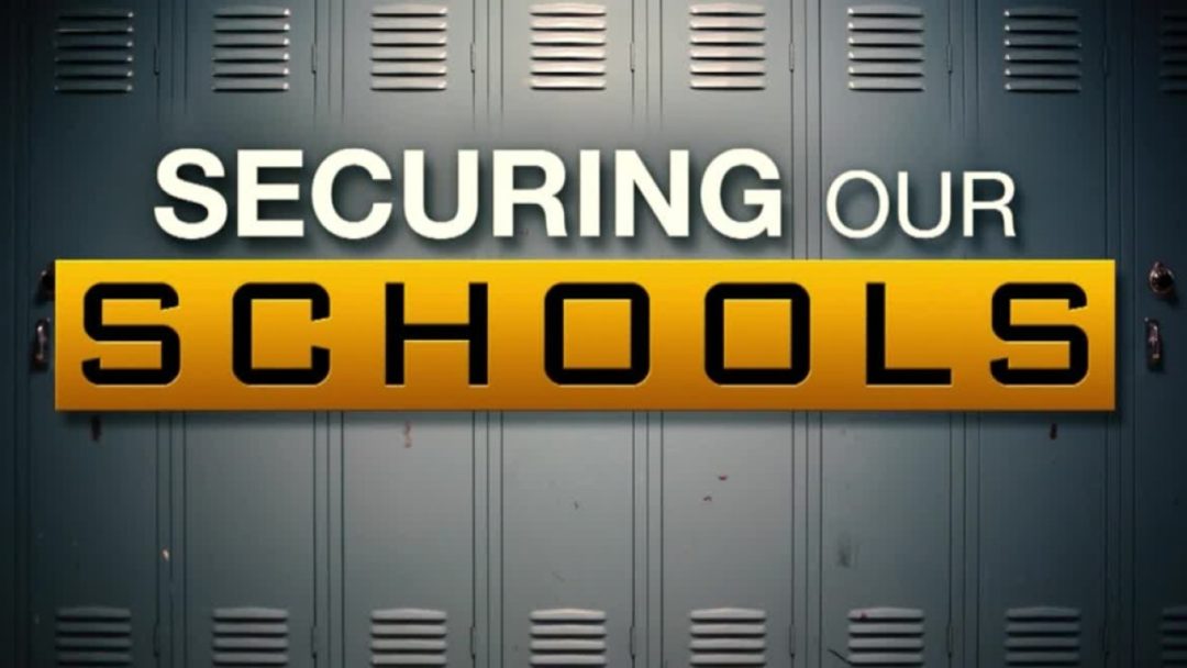 Securing our Schools